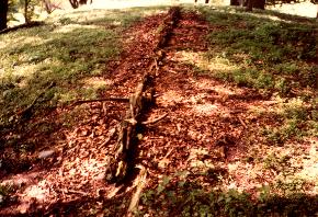Baumgrab, "Situation trouvée"